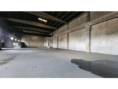 WhatsApp Image 2026-03-30 at 20.45.12 (2).jpeg